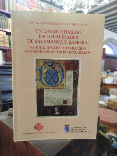 Portada del libro de Un linaje hidalgo en localidades de Salamanca y Zamora: su auge, declive y evolución durante los últimos...