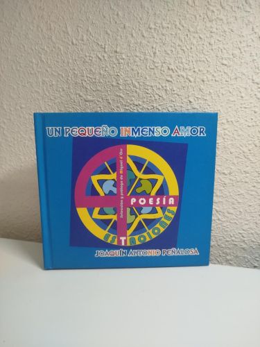 Portada del libro de Un pequeño inmenso amor