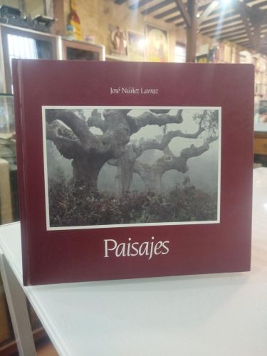 Portada del libro de Paisajes