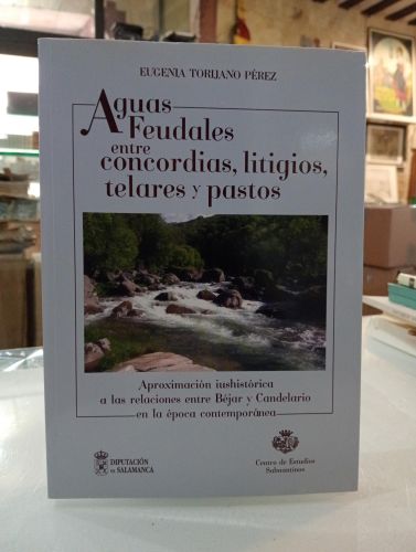 Portada del libro de Aguas feudales entre concordias, litigios, telares y pastos