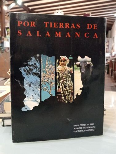 Portada del libro de Por tierras de Salamanca