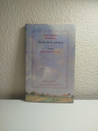 Portada del libro de Visión de la piedad