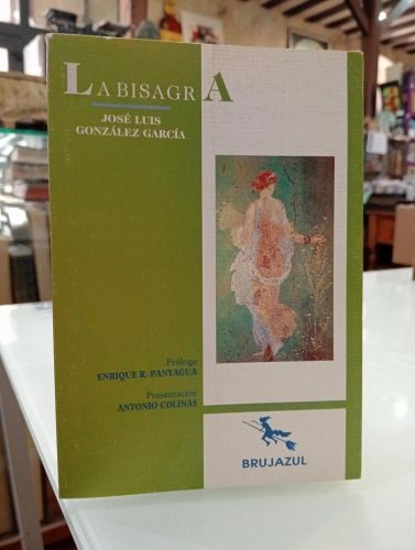 Portada del libro de La bisagra
