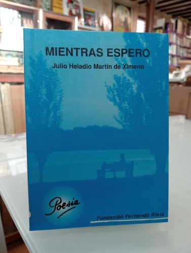 Portada del libro de Mientras espero
