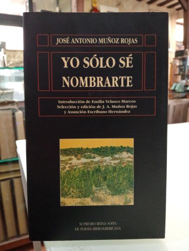 Portada del libro de Yo sólo sé nombrarte