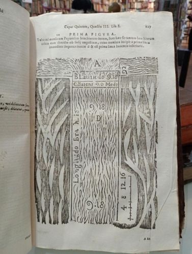 Portada del libro de Tractatus de aquaeductu, quomodo constituatur, ex quibus aquis, quot modis, quis possit constituere,...